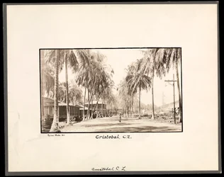 Ansicht einer von Palmen gesäumten Schotterstraße durch Cristobal, Panama, während des Baus des Kanals, 1912 oder 1913